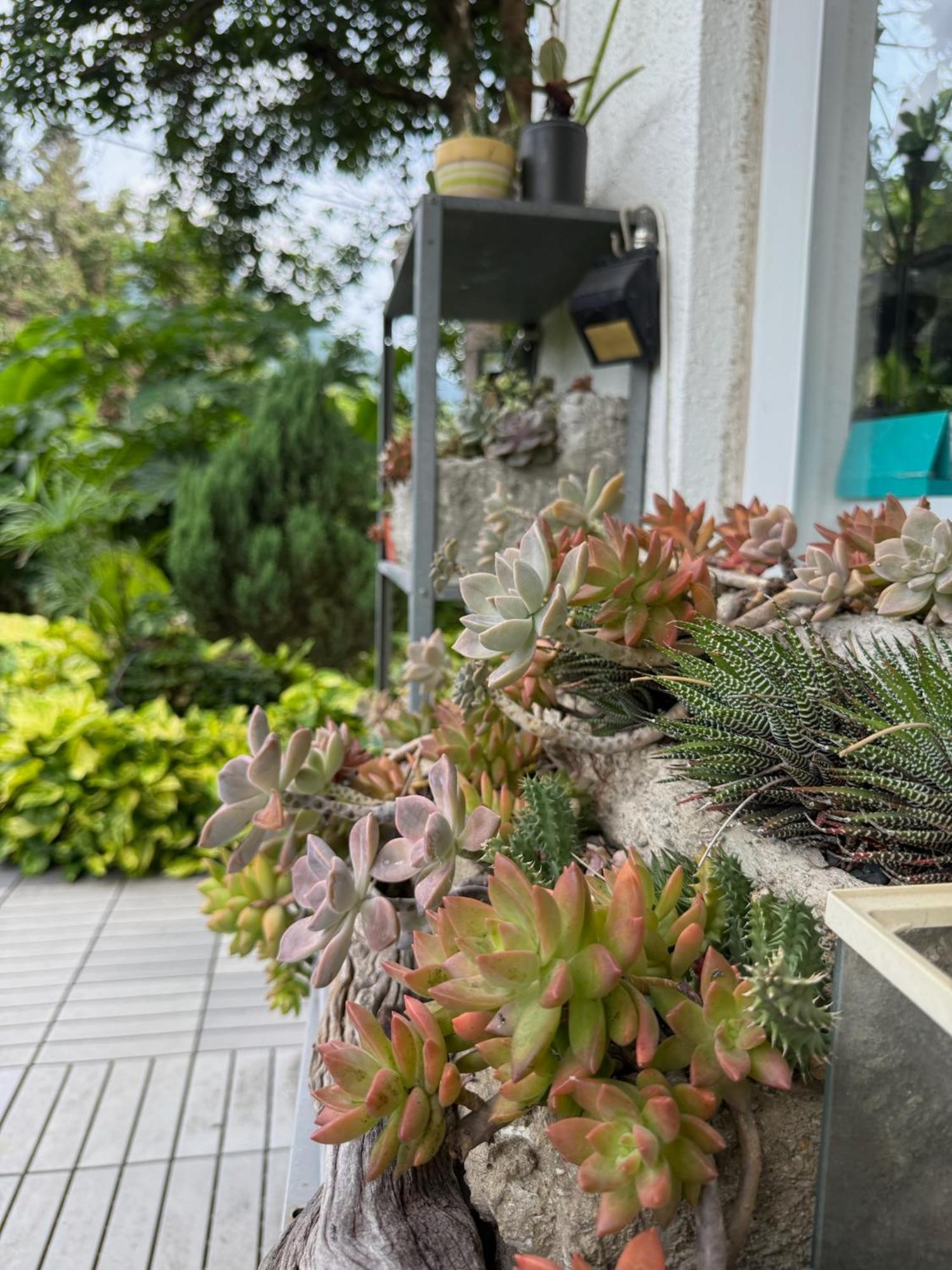 Oasis Rumah pedesaan *